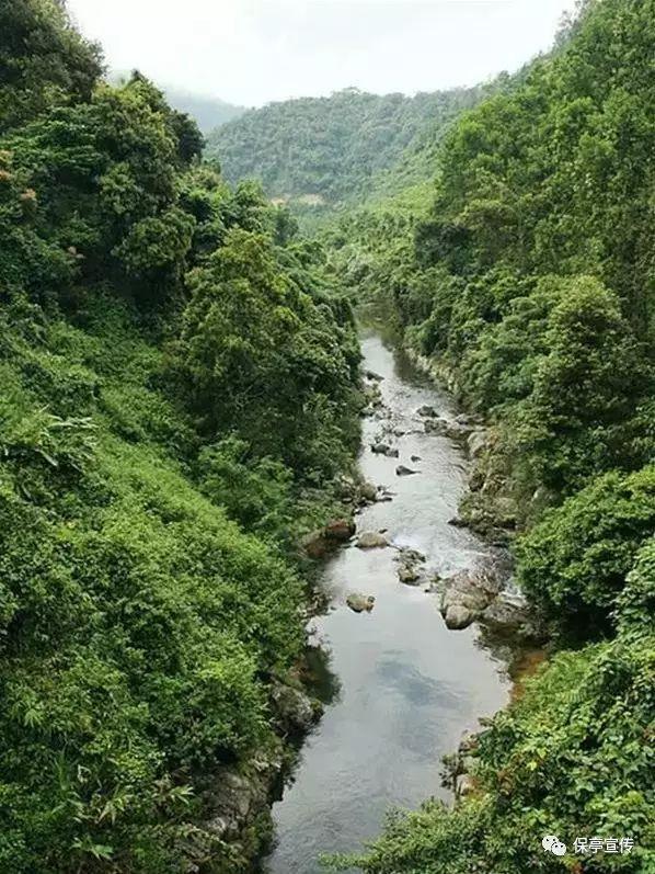 上海一家老药店推出一系列草本茶饮，在奶茶中加入养生中药，这靠谱吗？